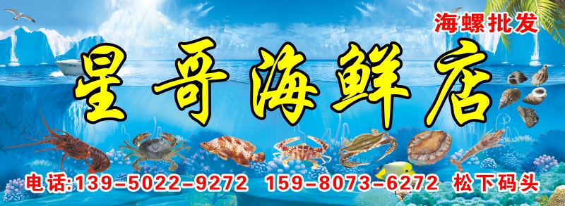 星哥海鲜店-织纹螺批发-海鲜批发-水产品批发-松下码头